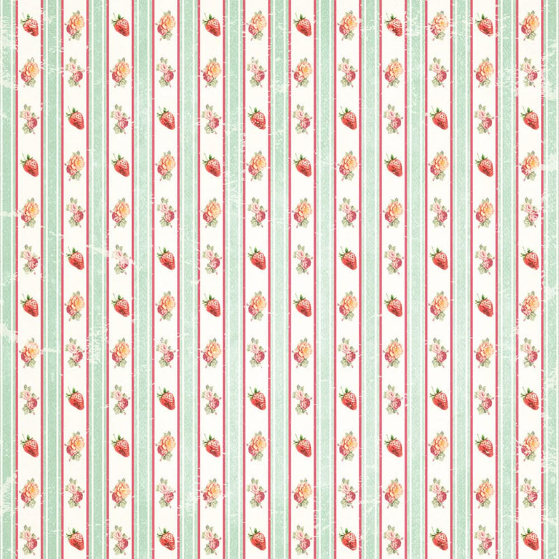 Memory Place - by Asuka Studio Collage Origami Papers 5.9"X5.9" 24/Pkg Peter's Garden