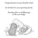 House Mouse Cling Rubber Stamp Bundle Of Joy