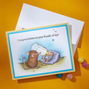 House Mouse Cling Rubber Stamp Bundle Of Joy