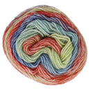 Scheepjes Stone Washed Flow Yarn - Elation
