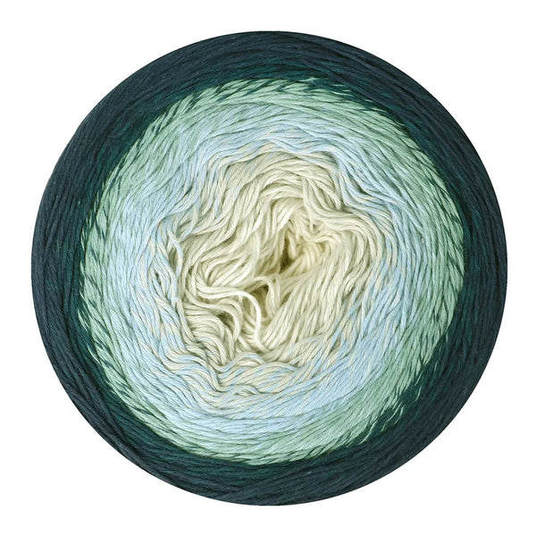 Scheepjes Cotton Whirl Yarn - Blueberry Swirl