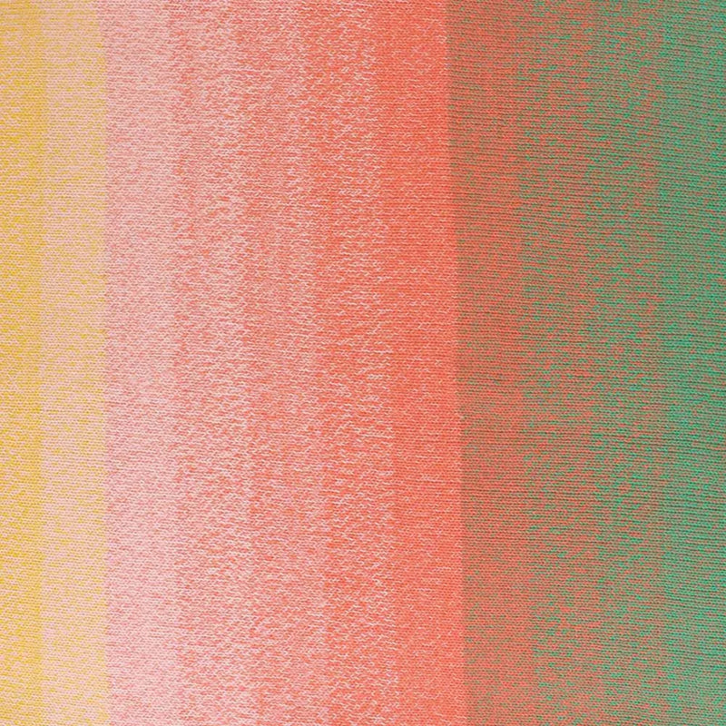 Scheepjes Cotton Whirl Yarn - Dreamland