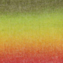 Scheepjes Stone Washed Flow Yarn - Delight