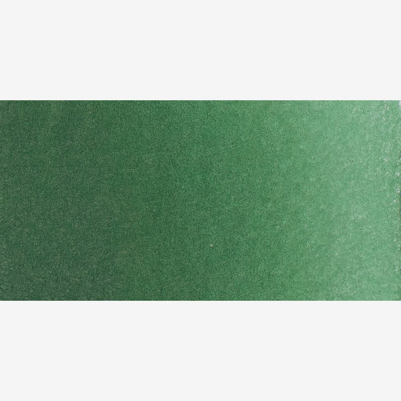 Schmincke Horadam Aquarell Watercolour Paint 5ml - S1 - Hooker’s Green