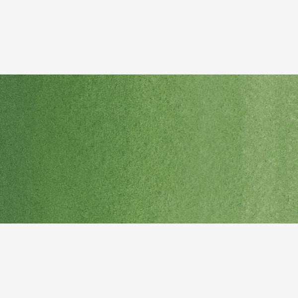 Schmincke Horadam Aquarell Watercolour Paint 5ml - S2 - Chromium Oxide Green