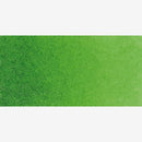 Schmincke Horadam Aquarell Watercolour Paint 5ml - S2 - Sap Green