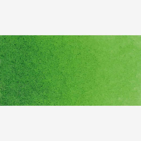 Schmincke Horadam Aquarell Watercolour Paint 5ml - S2 - Sap Green
