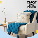 Caron One Pound Yarn ‚Äì Rose