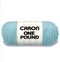 Caron One Pound Yarn - Soft Sage*