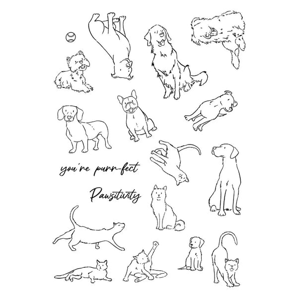 A sheet of black line art illustrations featuring various dogs and cats, with the text 'you're purr-fact Pawstitivity' in the center on a plain white background.