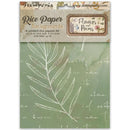 Stamperia Rice Paper Backgrounds card set, featuring 8 printed rice papers in an A6 size pack. The packaging displays a sage green background with white script text and a white leaf illustration, with the Stamperia brand logo at the top.