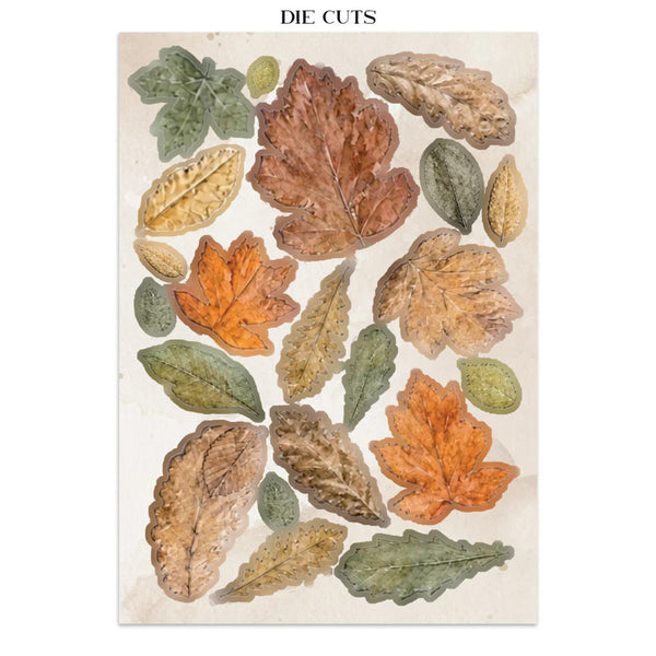 A sheet of die-cut decorative paper featuring watercolor-style autumn leaves and acorns in orange, brown, green, and tan on a cream background, with the text 'DIE CUTS' centered at the top.