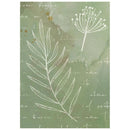 A square art print featuring white botanical line drawings of a leafy branch and a flower cluster over a muted sage green background with faint cursive script text.