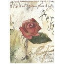 A square art print featuring a watercolor rose with a green leaf on a textured, vintage-style cream background with faint cursive script.
