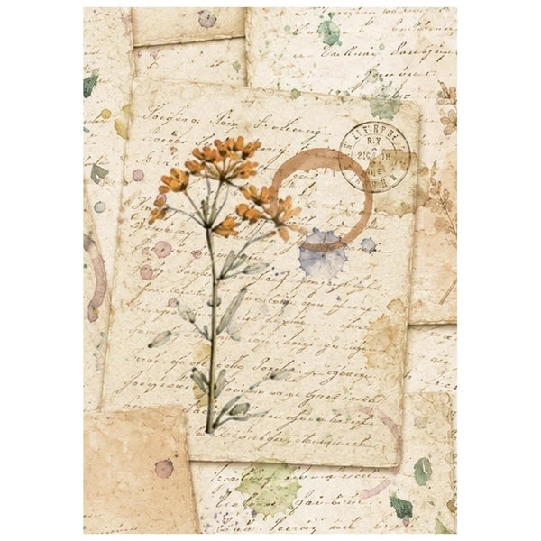 Vintage-style botanical art print featuring a small cluster of orange flowers on aged beige paper with handwritten script, watercolor washes, and a circular stamp motif.