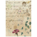 Vintage-style art print featuring a beige parchment background with elegant cursive script, watercolor splatters, green leaves, and a pink flower near the bottom.