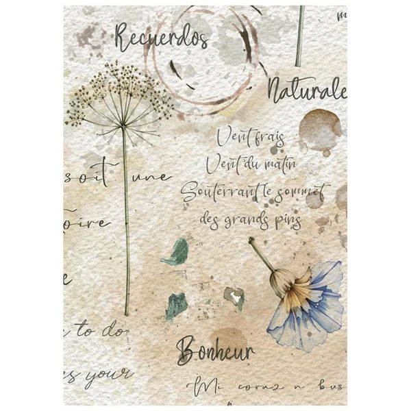 A square decorative card or print with a vintage French design, featuring watercolor illustrations of dandelions, a blue flower, and elegant script text on a textured beige background.
