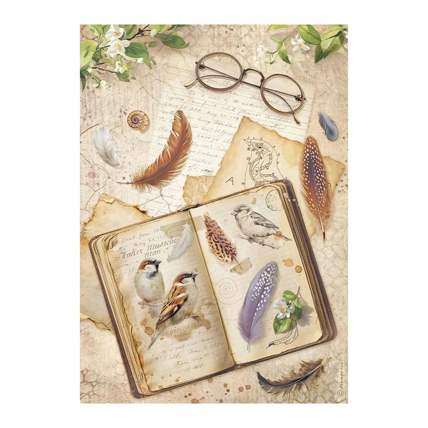 Decorative poster with an open book featuring illustrations of birds, feathers, and vintage eyeglasses on a textured background.