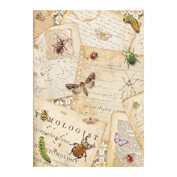 Vintage-style illustration of insects and text on a beige background