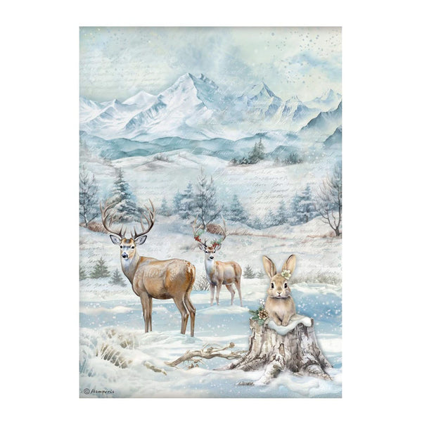 Stamperia A4 Rice Paper - The Owl's House Wildlife