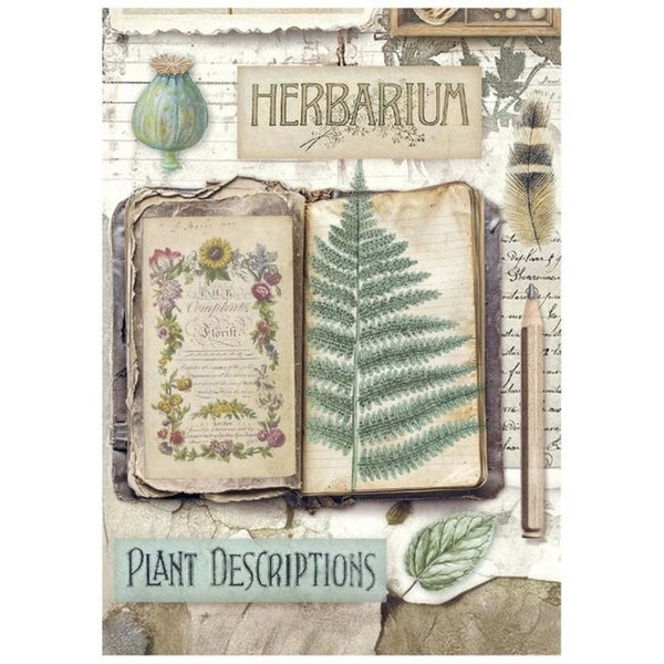 Stamperia Mini Rice Paper A6 Selection Set of 8 - Herbarium Silvae