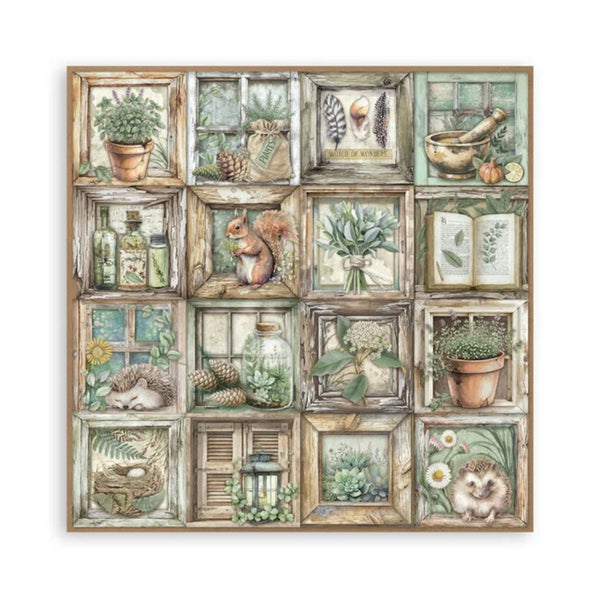 Stamperia Single-Sided Paper Pad 12" x 12" (22/pkg) - Herbarium Silvae