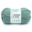 Lion Brand Wool-Ease Thick & Quick Yarn - Succulent