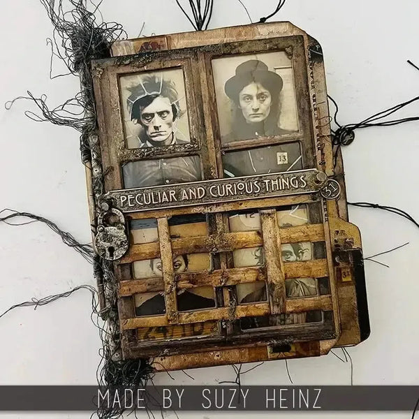 Tim Holtz Idea-ology Transparencies