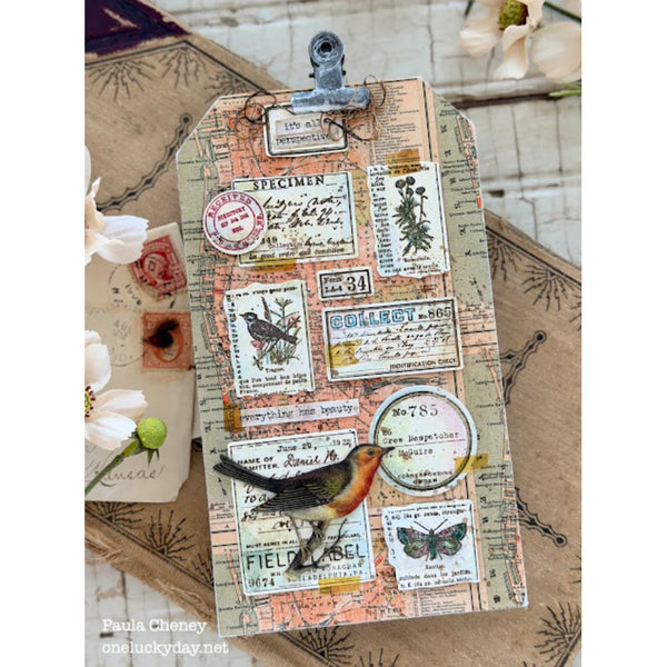 Tim Holtz - Advantus Idea-ology Double-Sided Cardstock 8"X8" 12/Pkg