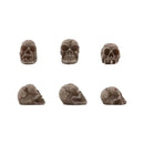 Tim Holtz Idea-ology Skulls