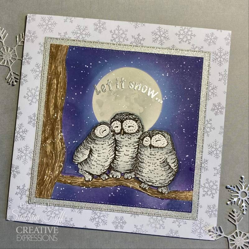 Creative Expressions Designer Boutique Clear Stamp 4"x 6" - Snowy Owls