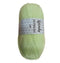 Wendy Wools Supreme DK Acrylic Yarn 100g - Apple*