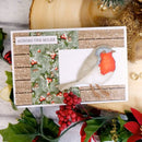 Hunkydory Winter Robins Luxury Inserts & Papers*