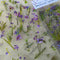 Poppy Crafts Natural Sticker Pack - Mixed Purple Flowers