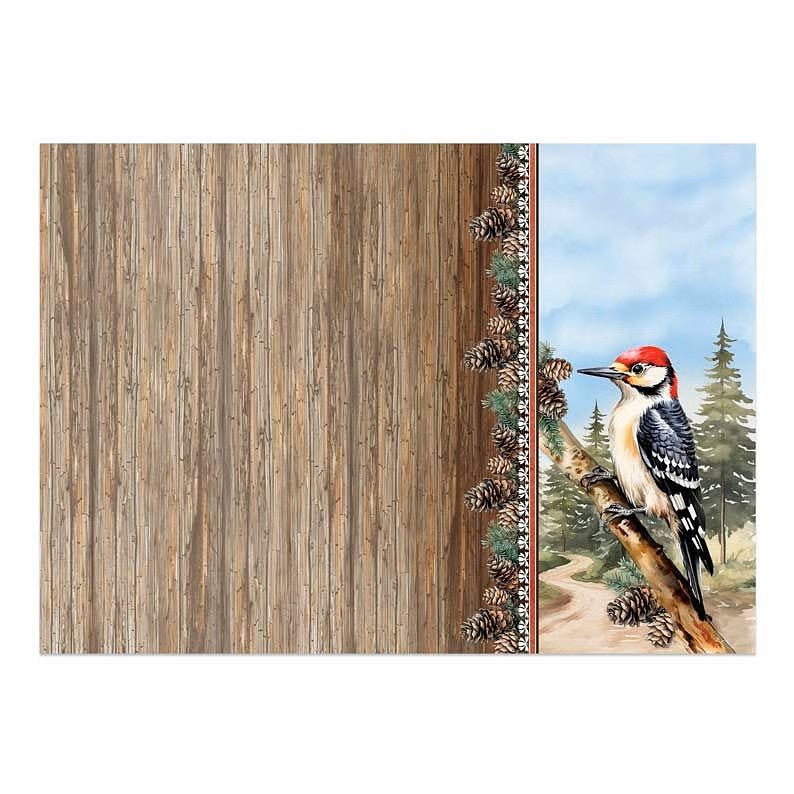 Hunkydory Beautiful Birds Deco-Large Set - Wonderful Woodpecker