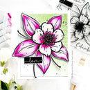 Colorado Craft Company Clear Stamps 6"X6" Columbine Wishing-Big & Bold*