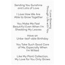 My Favorite Things Clear Stamps - Grow Together 4" x 6"*