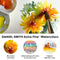 Daniel Smith Extra Fine Watercolour Paint 15ml - Burnt Sienna
