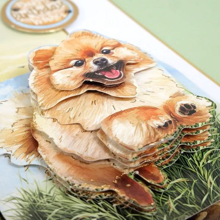 Hunkydory Cavalier King Charles & Pomeranian Decoupage Topper Sheet*