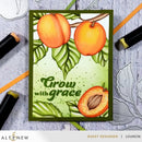 Altenew Sweet Apricots Layering Die Set