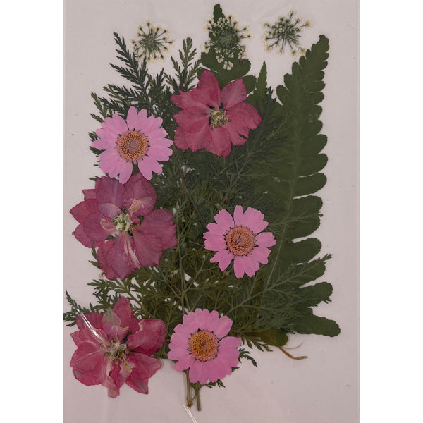 Poppy Crafts Dried Flowers Kit #17 - 17pcs*