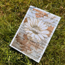 A small rectangular notebook or journal with a vintage-style floral cover design lies on green grass. The cover features a large white daisy with brown and beige details, surrounded by cursive text and botanical illustrations.