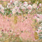 Crafter's Companion Nature's Garden Vintage Rose Paper Pad 6"X6"*