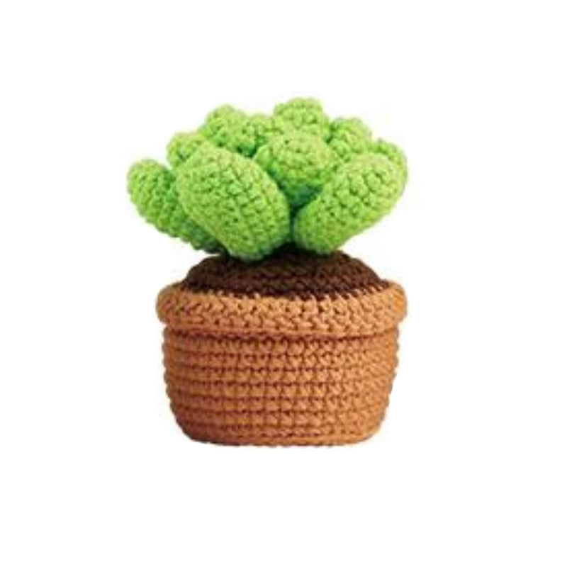 Universal Crafts Crochet DIY Kit - Plant*