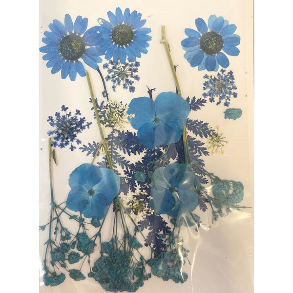 Poppy Crafts Dried Flowers Kit #11 - 15pcs