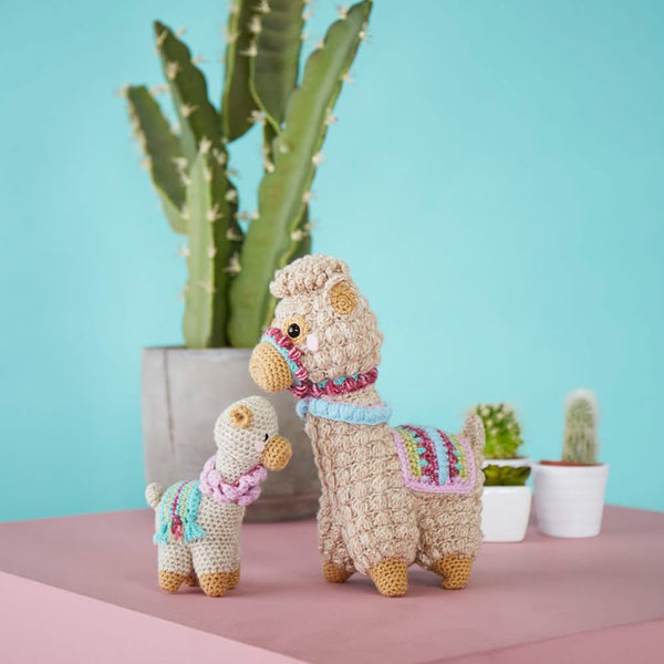 Stylecraft Special DK Premium Acrylic Yarn 100g - Waterfall Mix