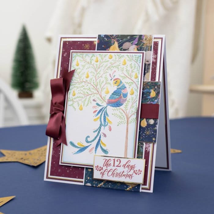 Crafter's Companion Twelve Days Of Christmas 2D Embossing Folder 6"X4" Partridge In A Pear Tree