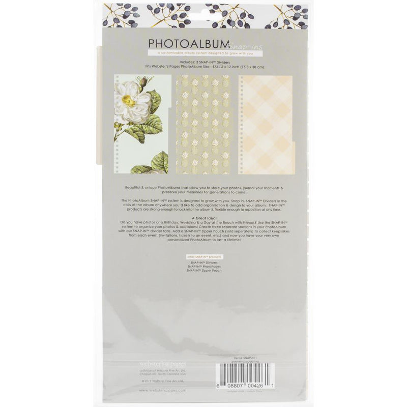 Websters Pages Snap-In Decorative Dividers, Tall 6in x 12in 3 pack*