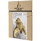 3D Papercraft Model - Gorilla, Gold (Limited Edition)*