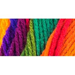 Red Heart Super Saver Yarn - Favourite Stripe 141g*